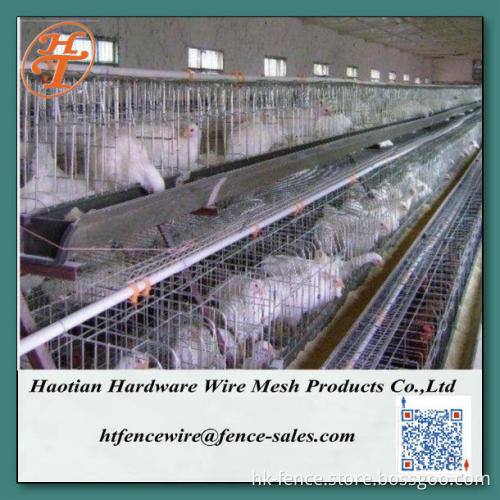chicken cages